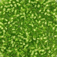 Miyuki delica beads 11/0 - Silverlined lime DB-1206